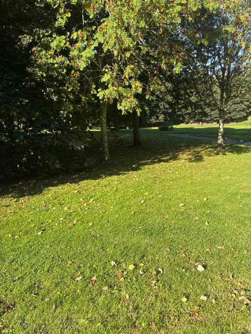 walking near me in Bon Accord Terrace Gardens in autumn