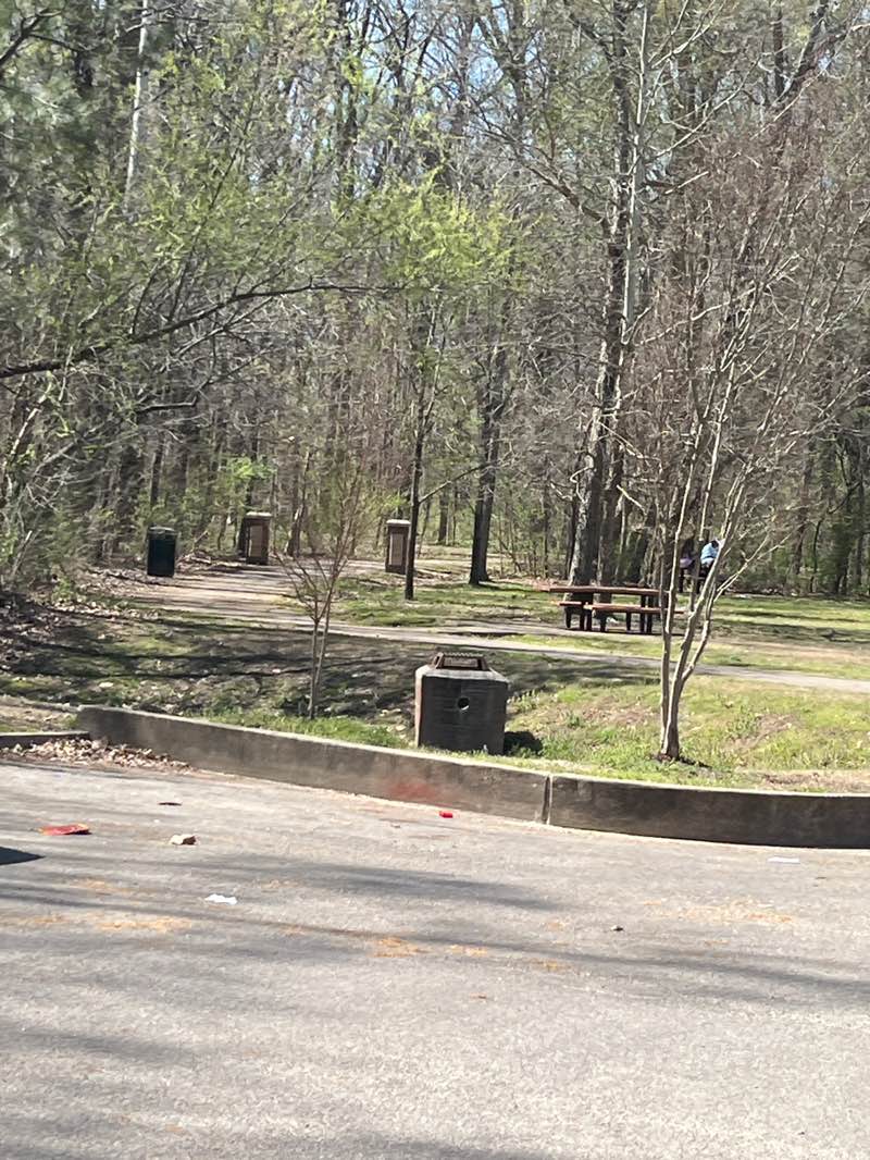 walking near me in Fletcher Creek Park in spring