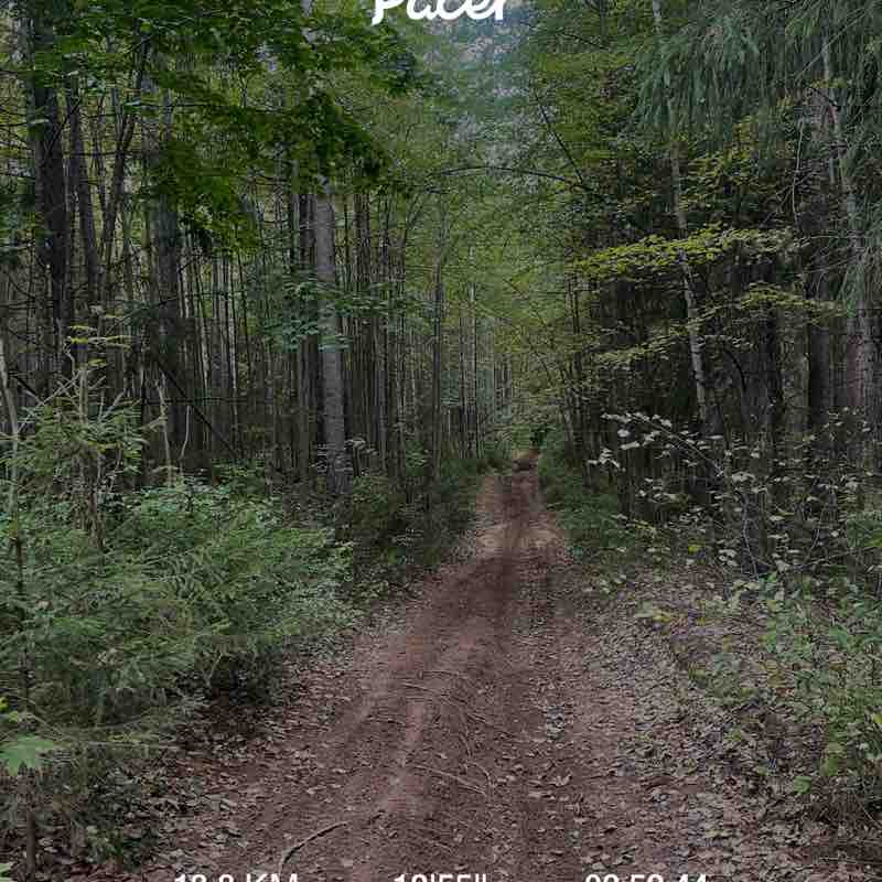 Екатерина post 1