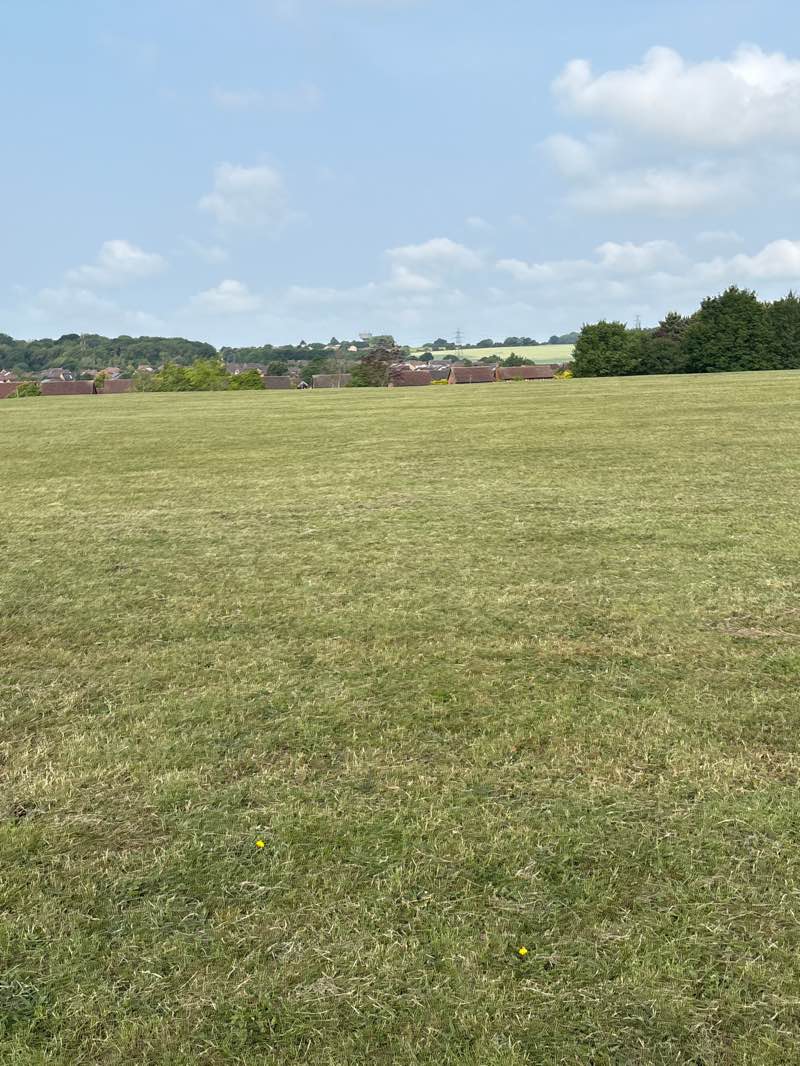 walking near me in Bramingham Park in summer
