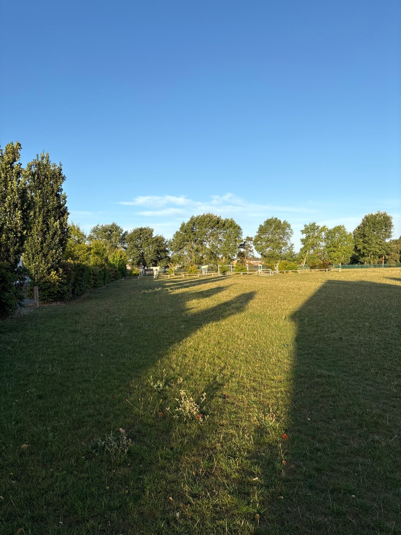 walking near me in Maunder Avenue Play Area in autumn