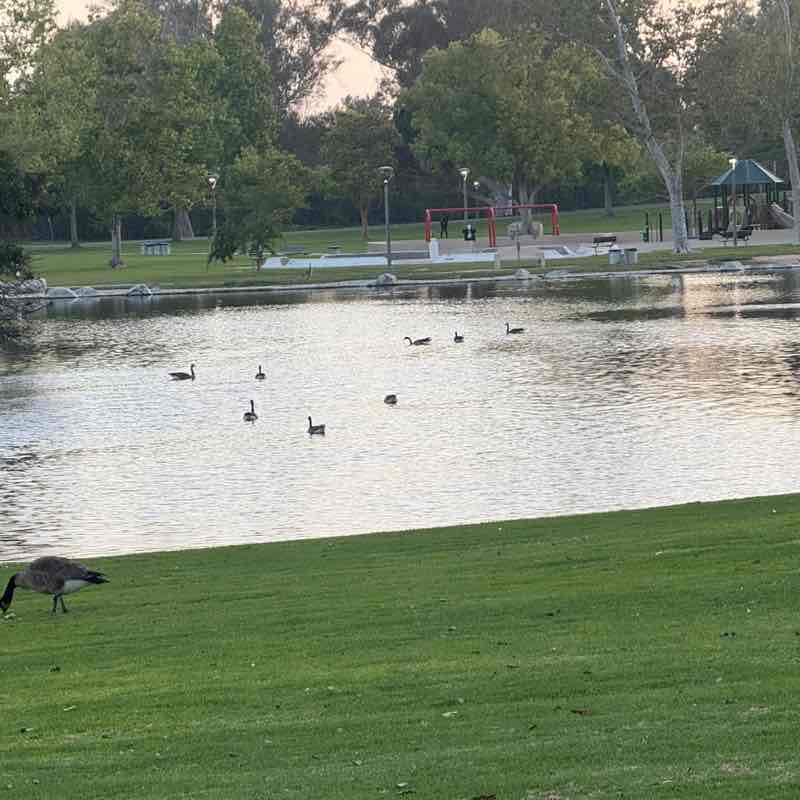 Saleh Rashdan post 1