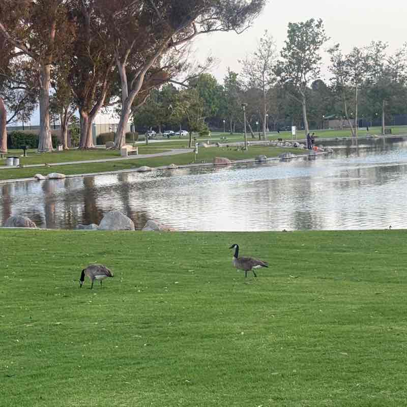 Saleh Rashdan post 2