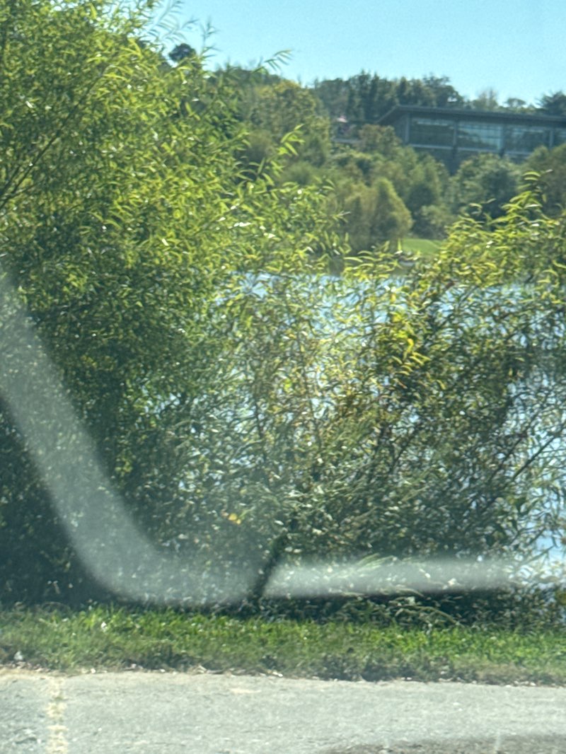 walking near me in Liberty Park in autumn