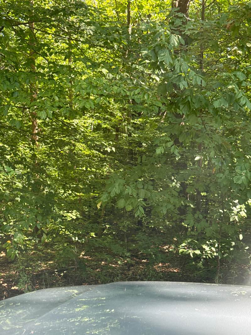 walking near me in Rotary Park in autumn