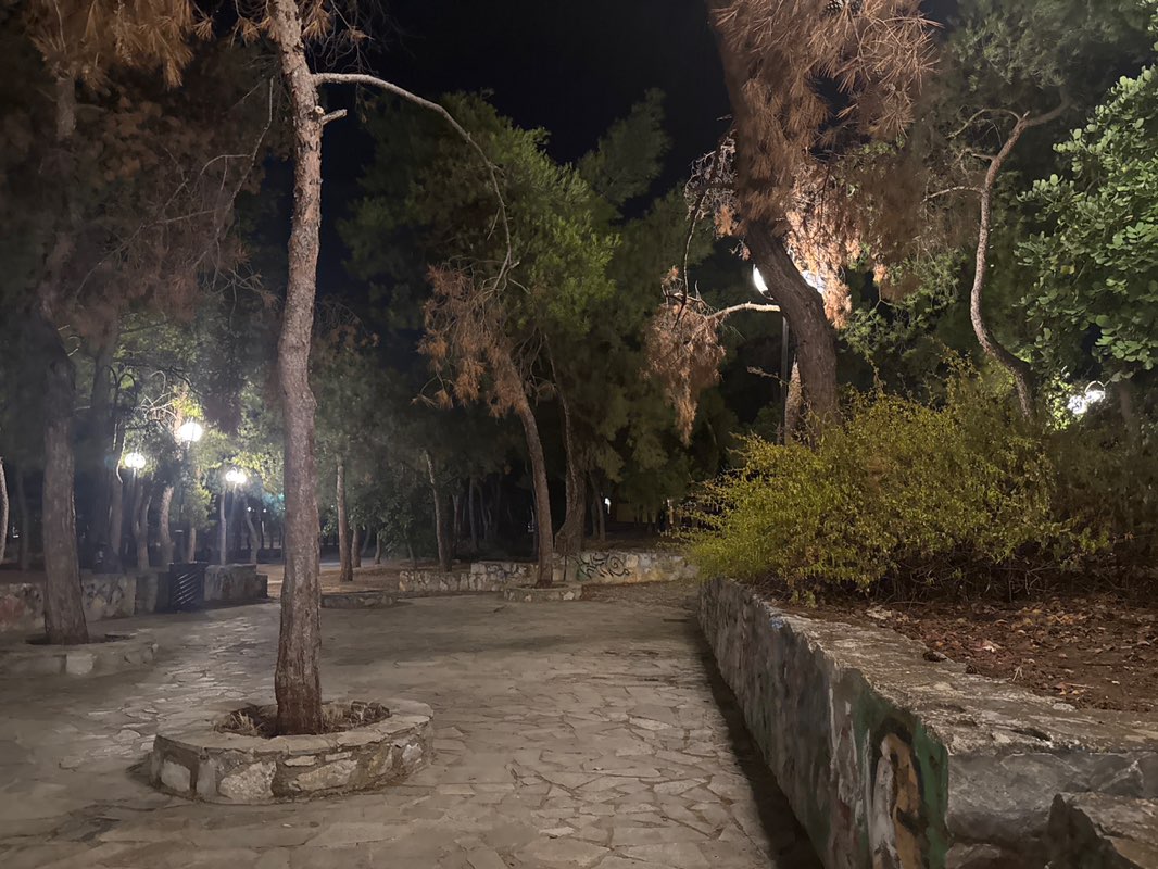 walking near me in Άλσος Χολαργού in autumn