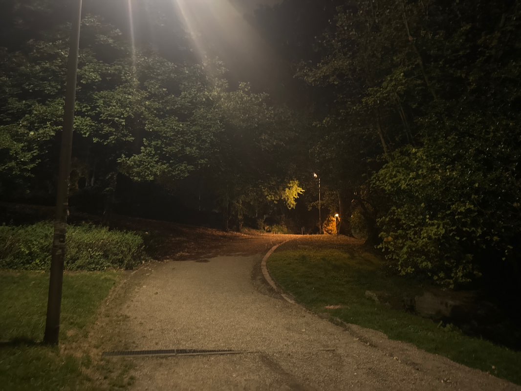 walking near me in Veltmanplatz in autumn