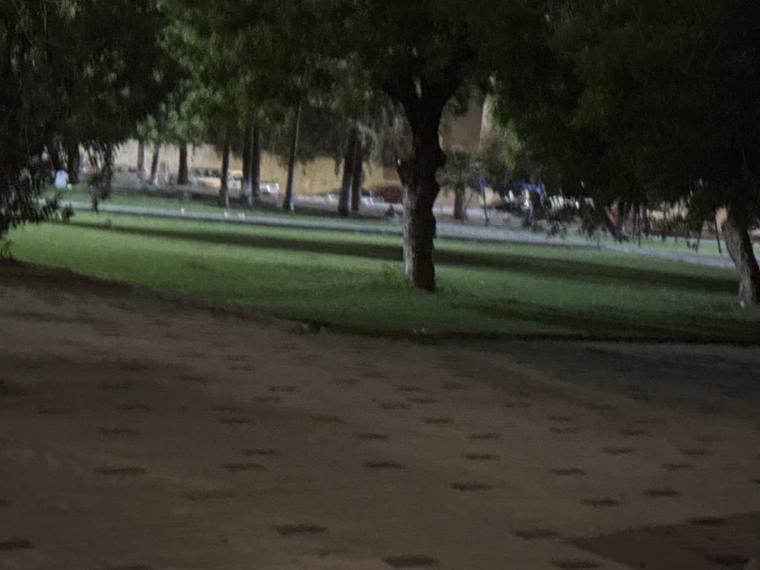 walking near me in Altdamon Park in spring