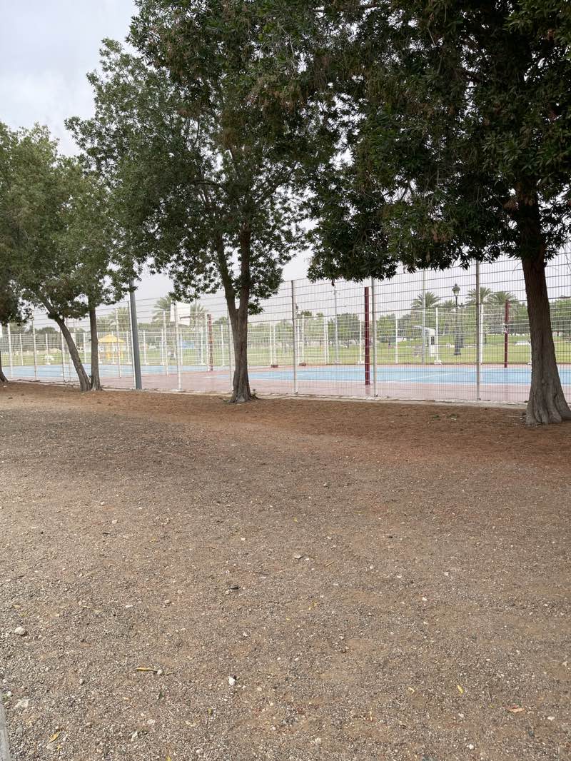 walking near me in Al Towayya Park in spring