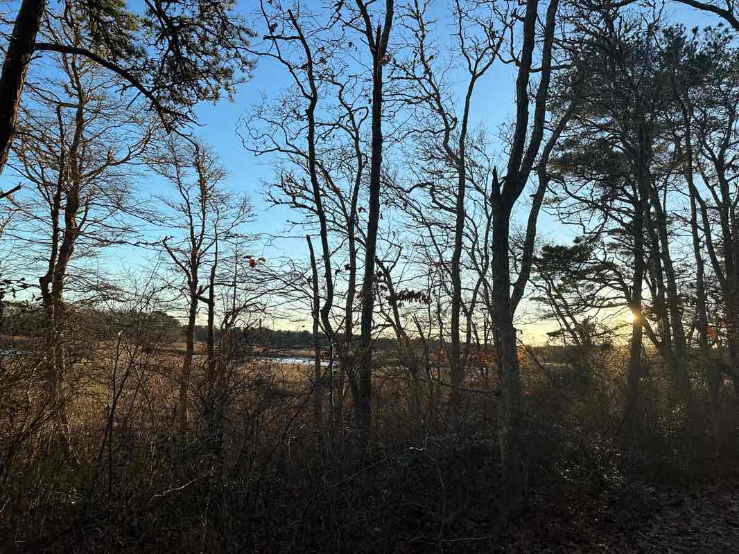 walking near me in Johnny Kelley Park in winter