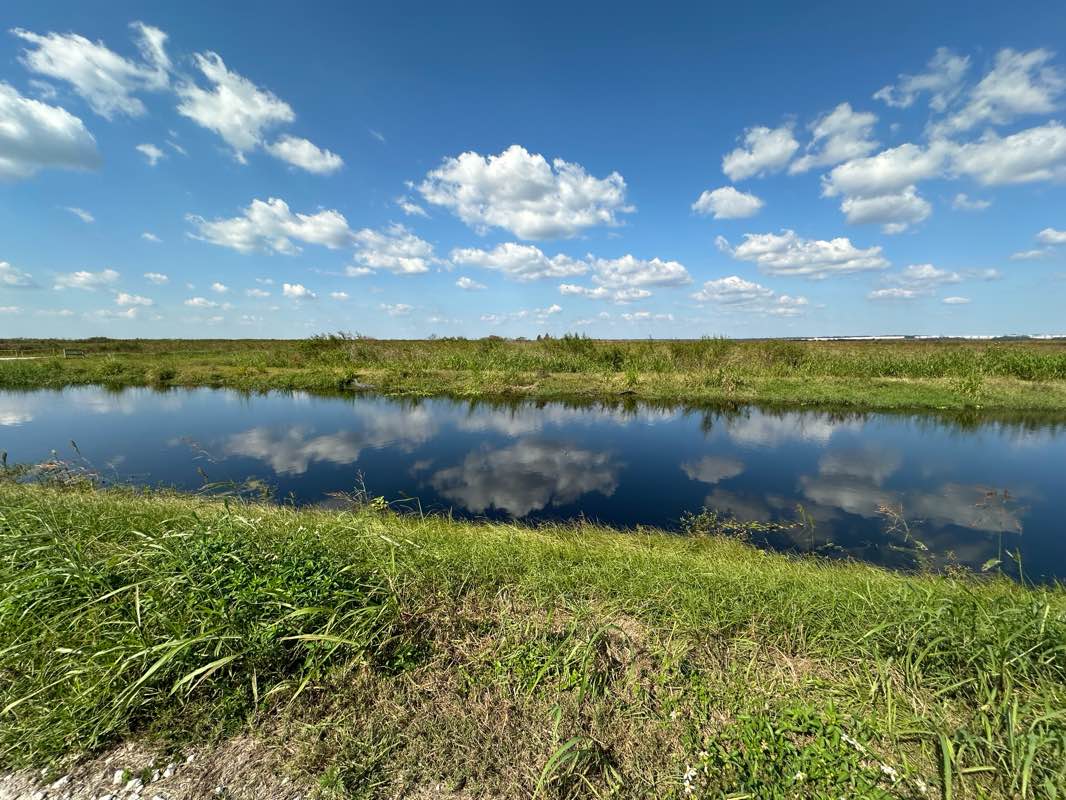 walking near me in Magnolia Park in winter