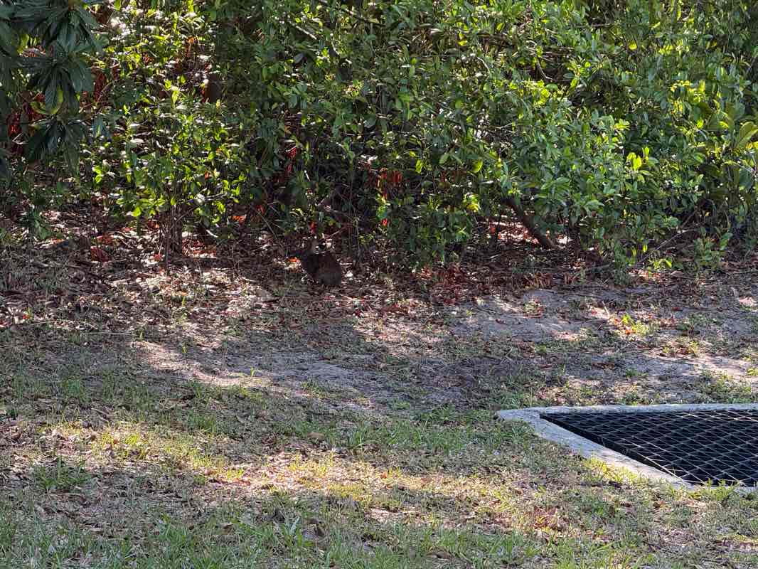 walking near me in Kewannee Park in spring