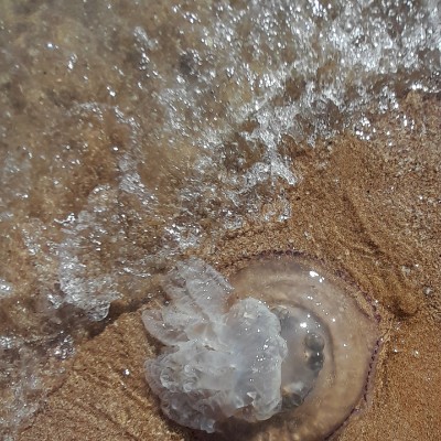 🍹🍸ЖАРА-2024🍸🍹 ✨ Роксана 💫 post image