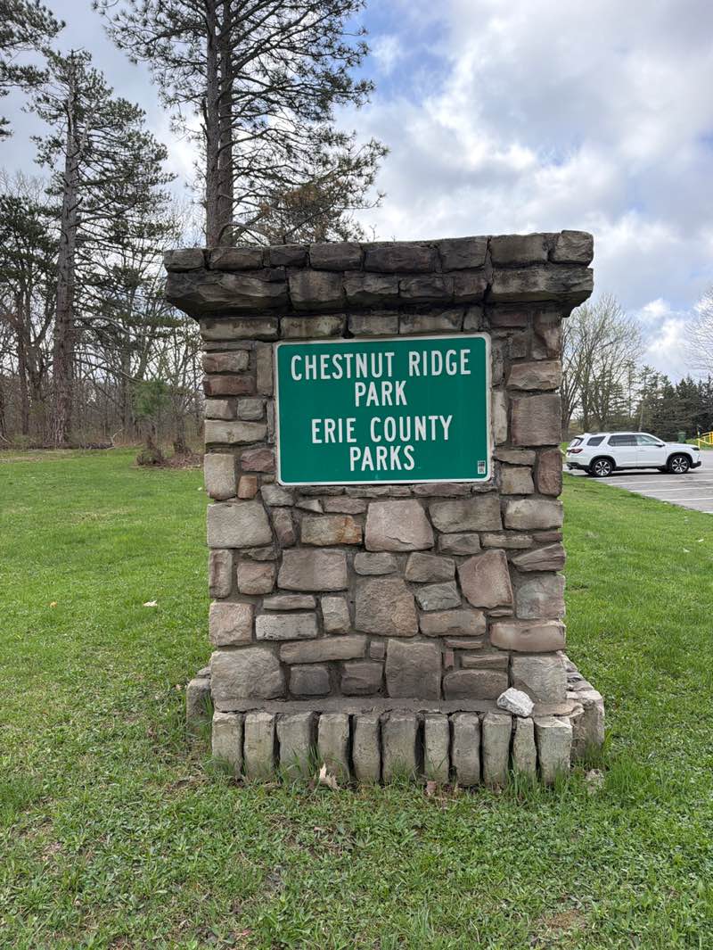 walking near me in Chestnut Ridge Park in spring