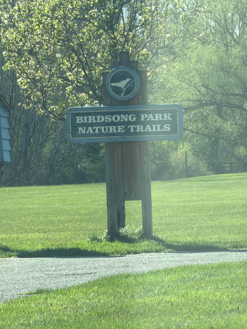 walking near me in Birdsong in spring