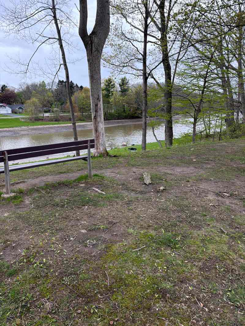 walking near me in Yates Park in spring