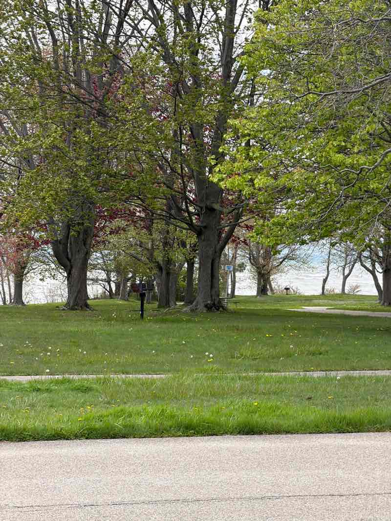 walking near me in Evangola State Park in spring