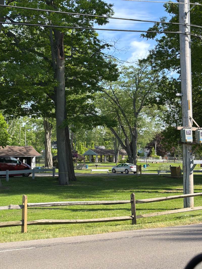 walking near me in Evans Town Park in summer