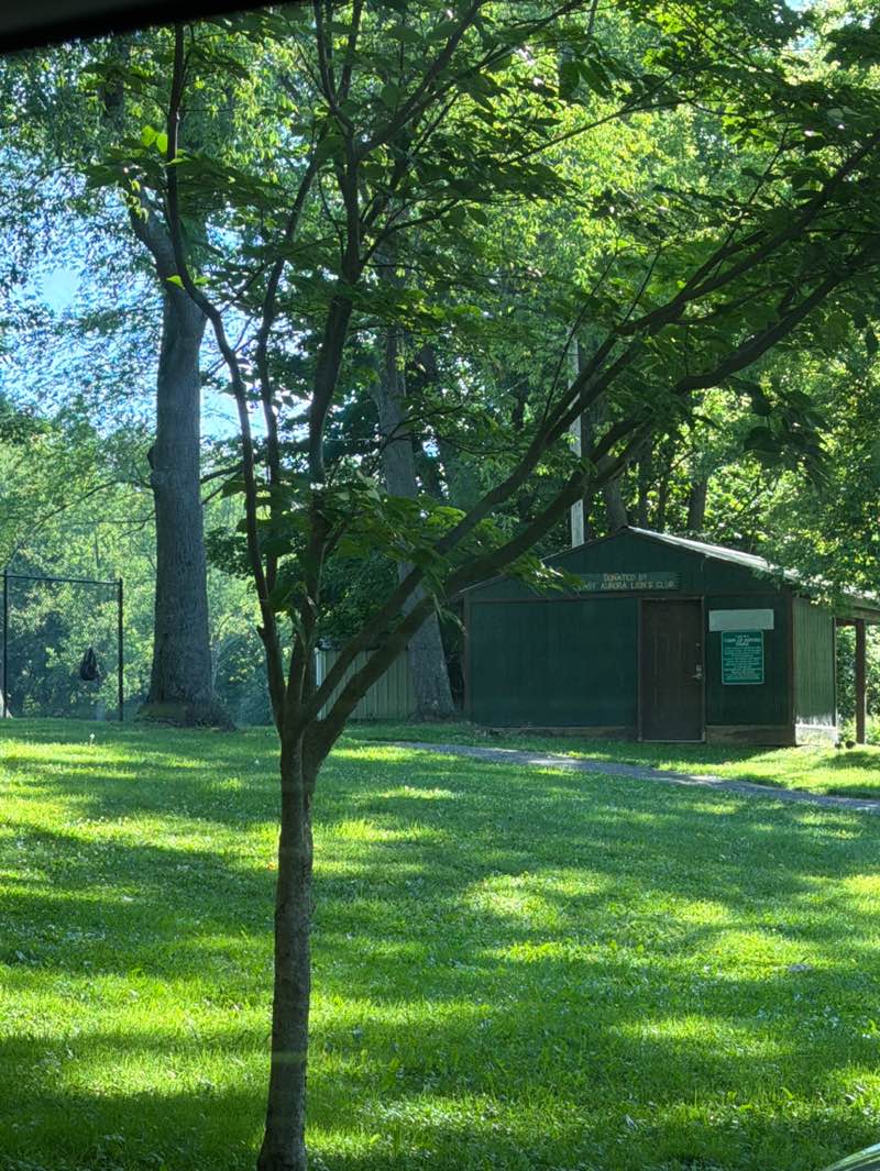 walking near me in Warren Dr. Park in summer