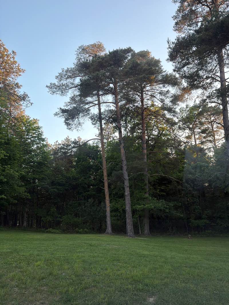 walking near me in Chestnut Ridge Park in summer