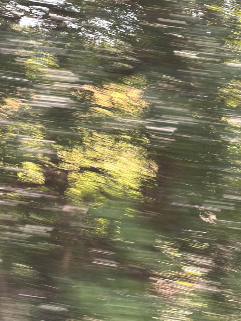 walking near me in Knox Farm State Park in summer