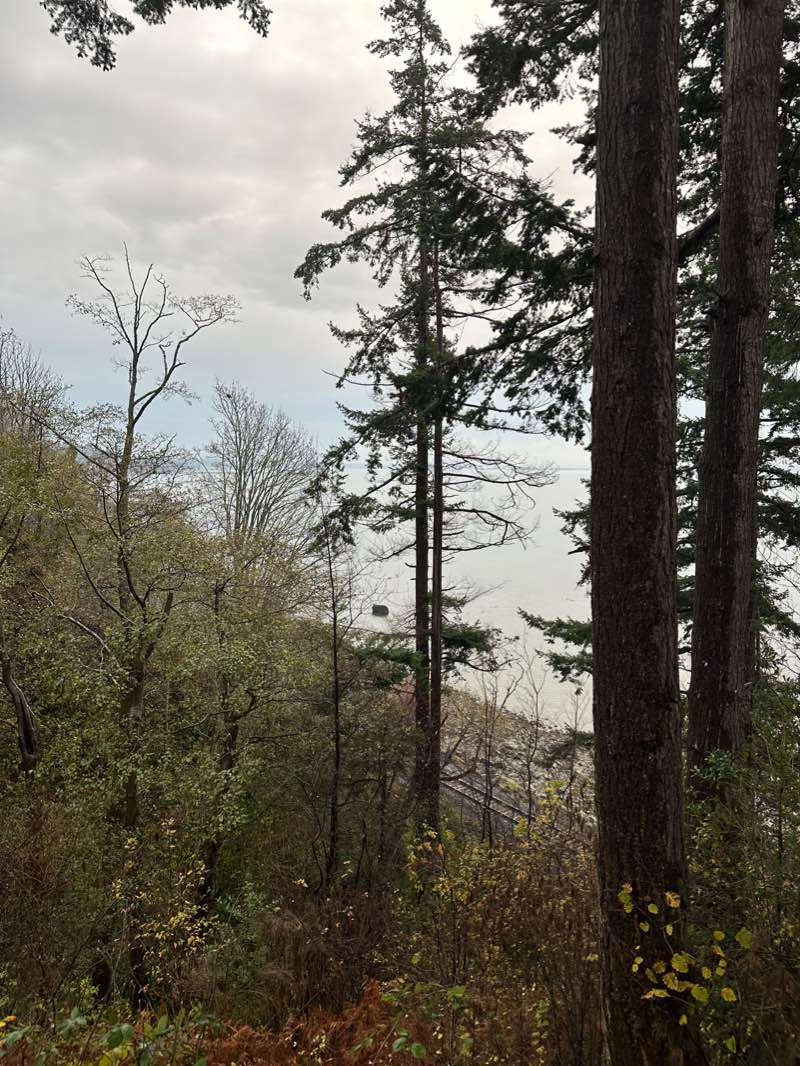 walking near me in Coldicutt Park in winter