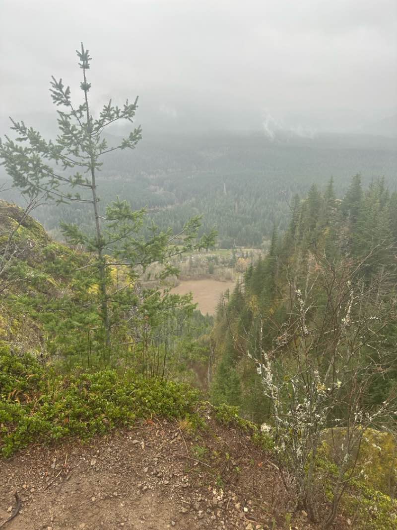 walking near me in Rattlesnake Mountain Scenic Area in autumn