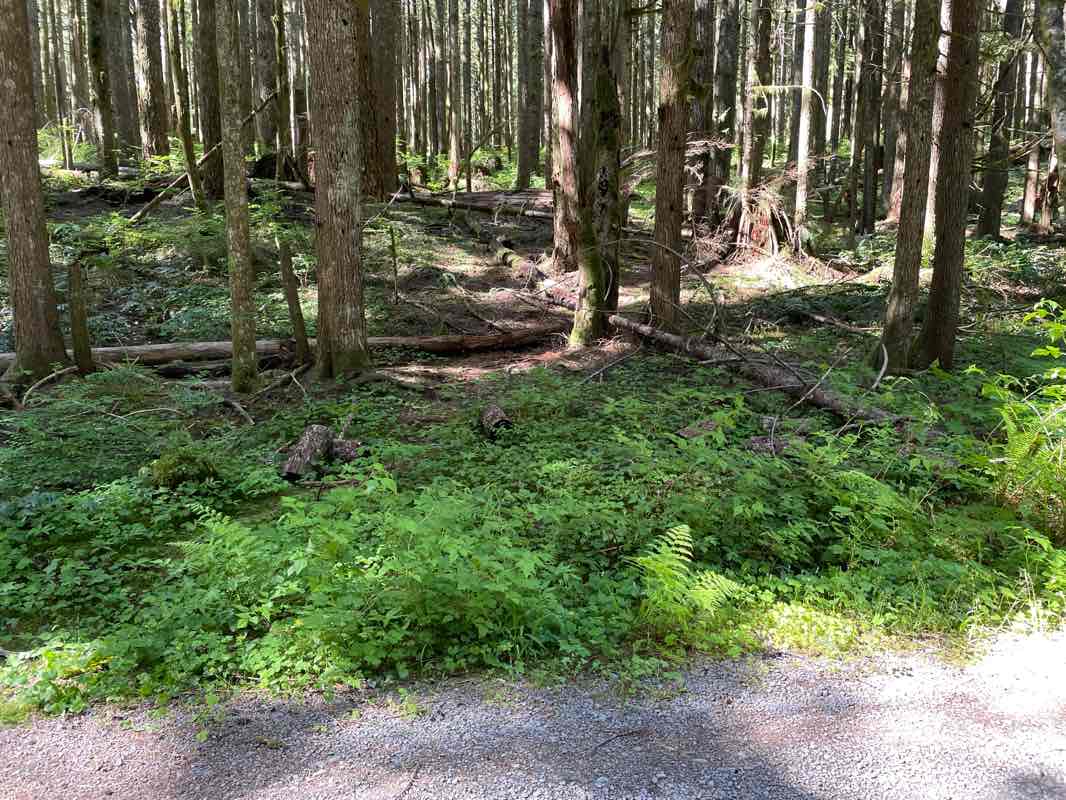 walking near me in Crown Point State Scenic Corridor in winter