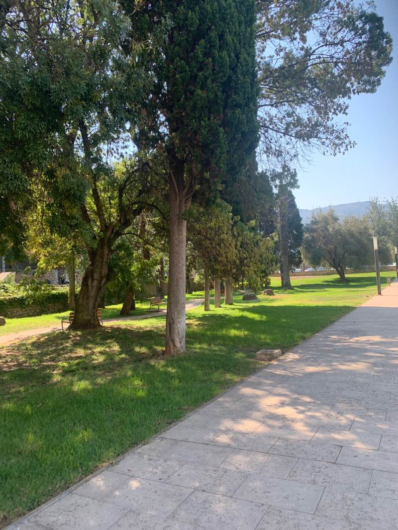 walking near me in parc de Can Miró in autumn