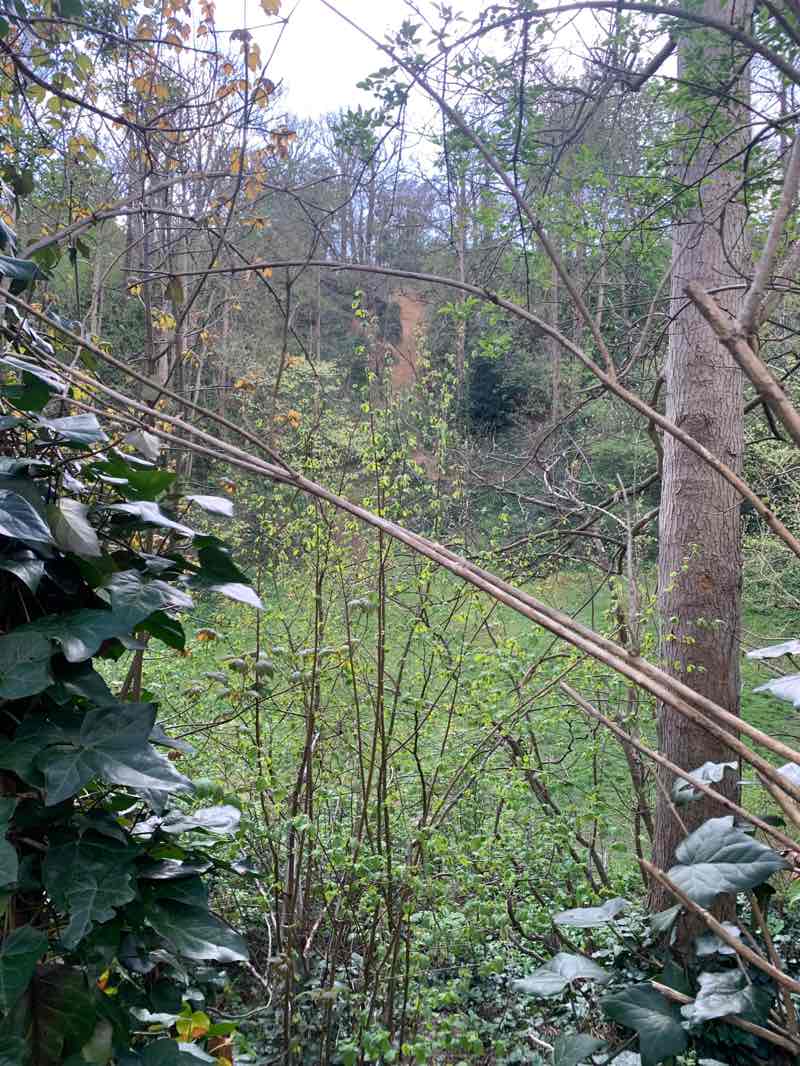 walking near me in Windmill Hill in spring