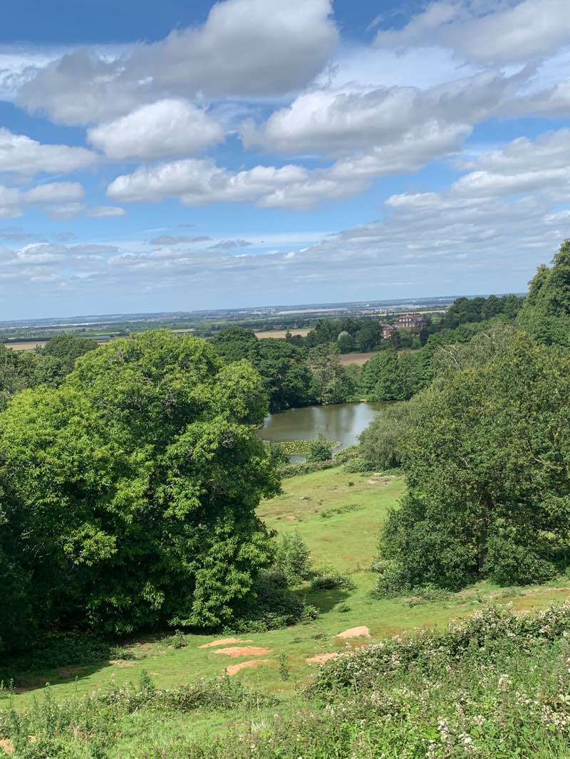 walking near me in Ampthill Park in summer