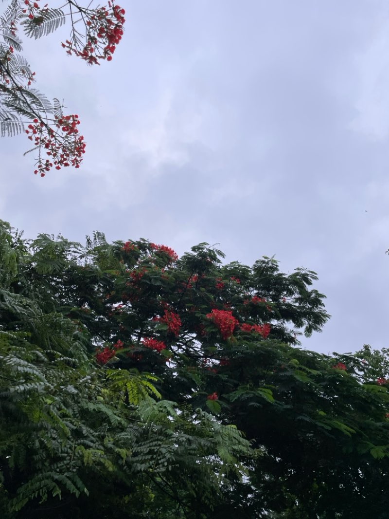 walking near me in Hatirjheel Park and Playground in summer