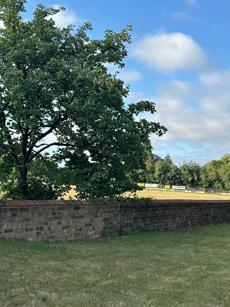 walking near me in Coney Green in summer