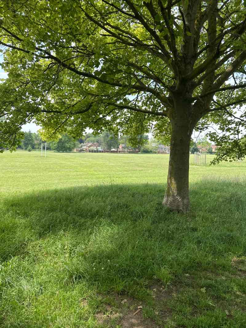 walking near me in The Closes Recreation Ground in summer