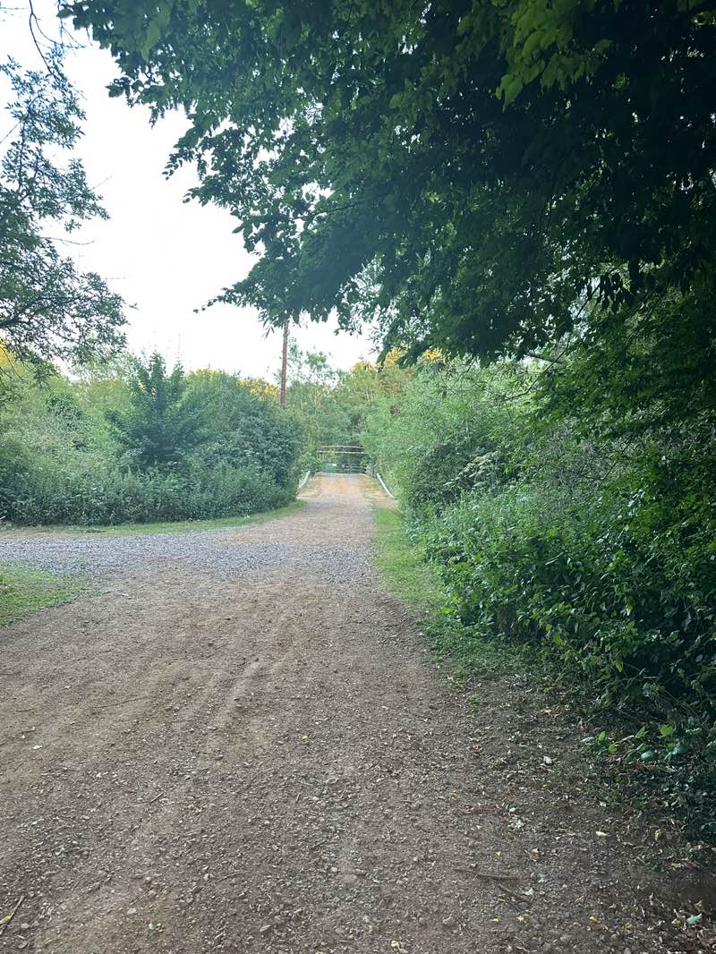 walking near me in Harmondsworth Moor in summer