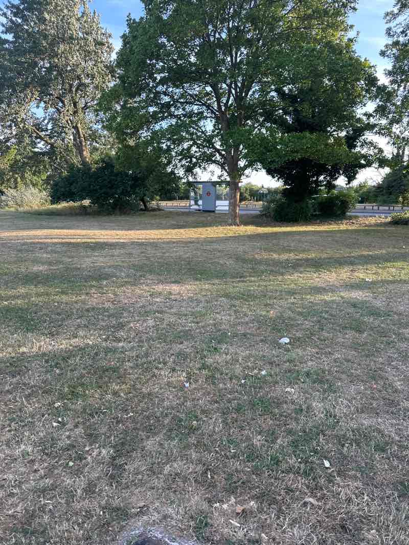 walking near me in The Park in summer