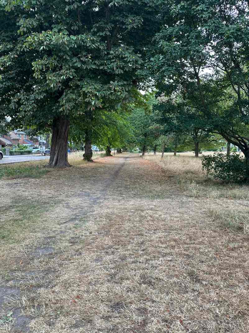 walking near me in Uxbridge Common in autumn