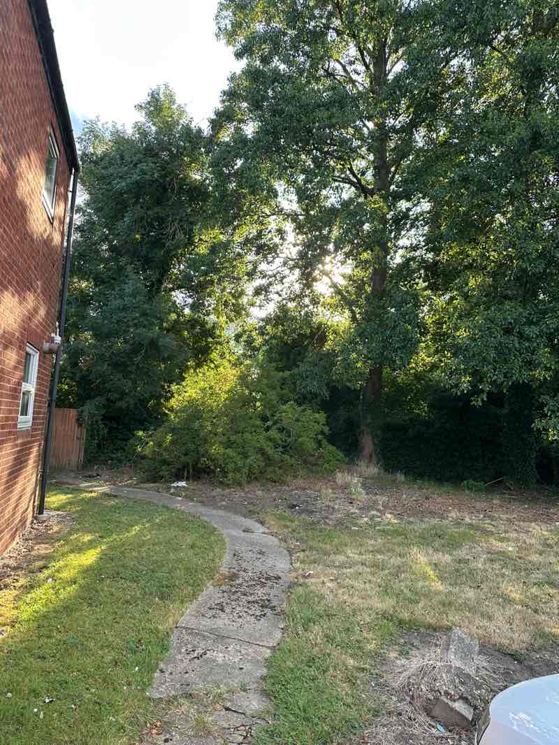 walking near me in Paddocks in summer