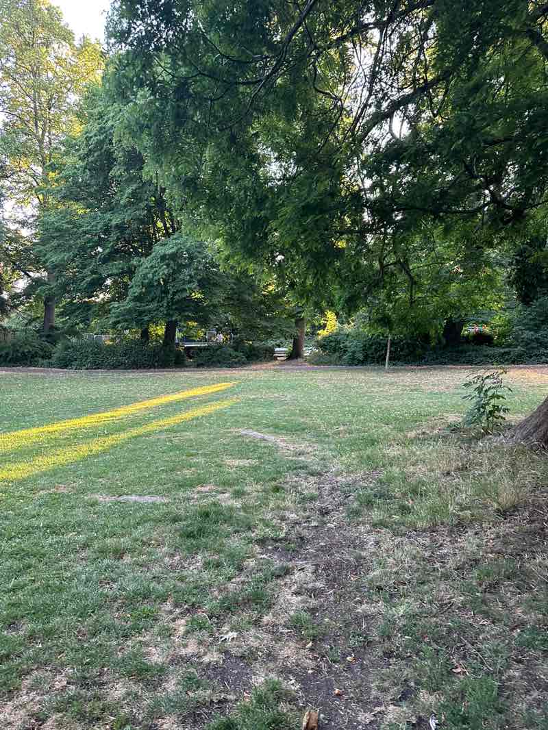 walking near me in Fassnidge Park in summer