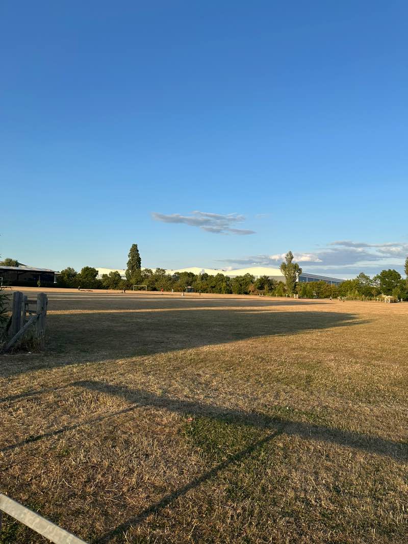 walking near me in Harvey Park in summer