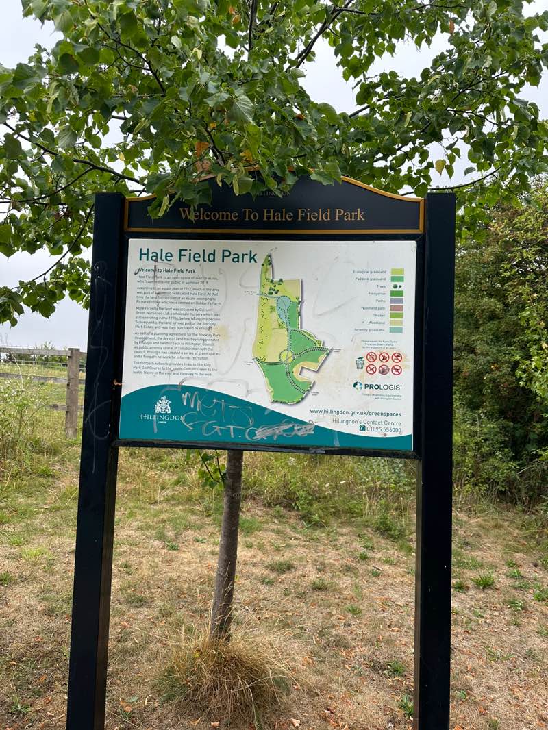 walking near me in Hale Field Park in autumn