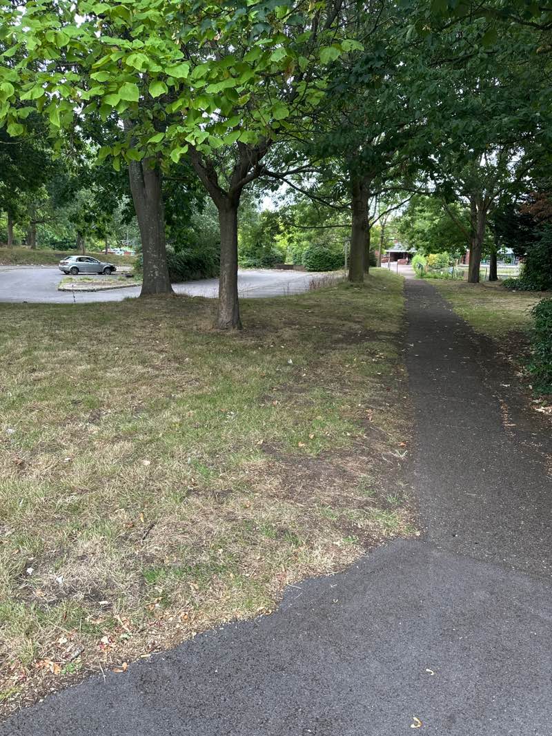 walking near me in Botanic Gardens in autumn