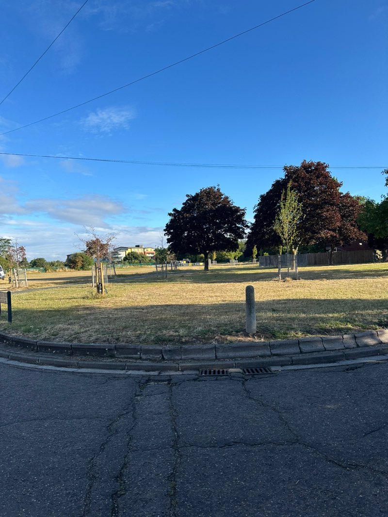 walking near me in Rosedale Park in autumn