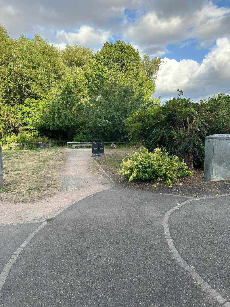 walking near me in Pippins Park in summer