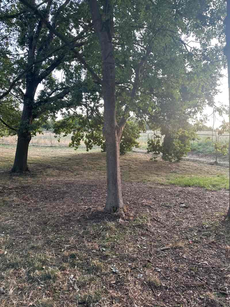 walking near me in Belvue Park in autumn