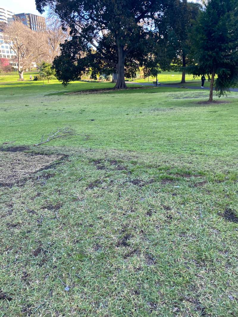 walking near me in Flagstaff Gardens in spring