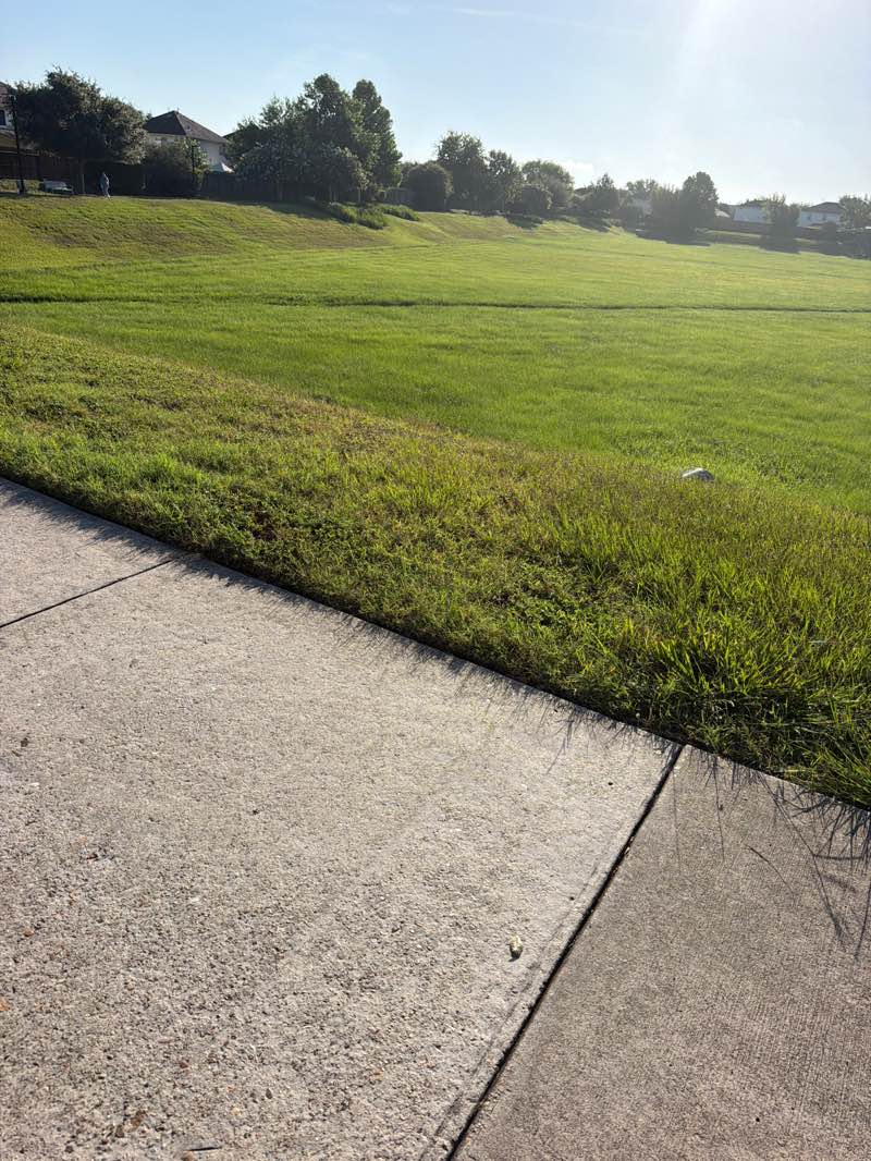 walking near me in Puddle Park in summer
