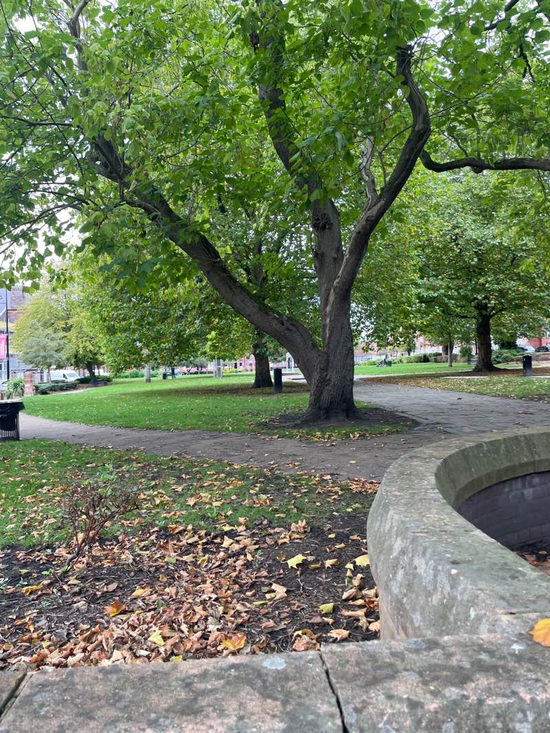 walking near me in Queens Gardens in autumn