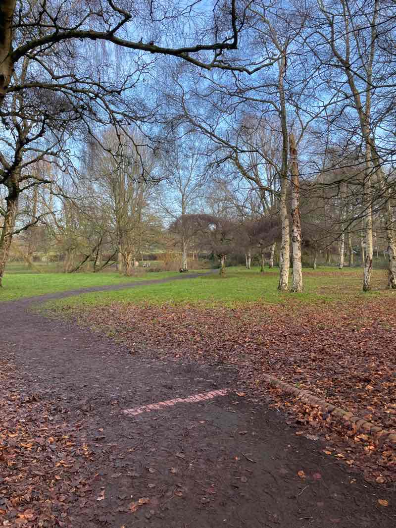 walking near me in Calderstones Park in winter