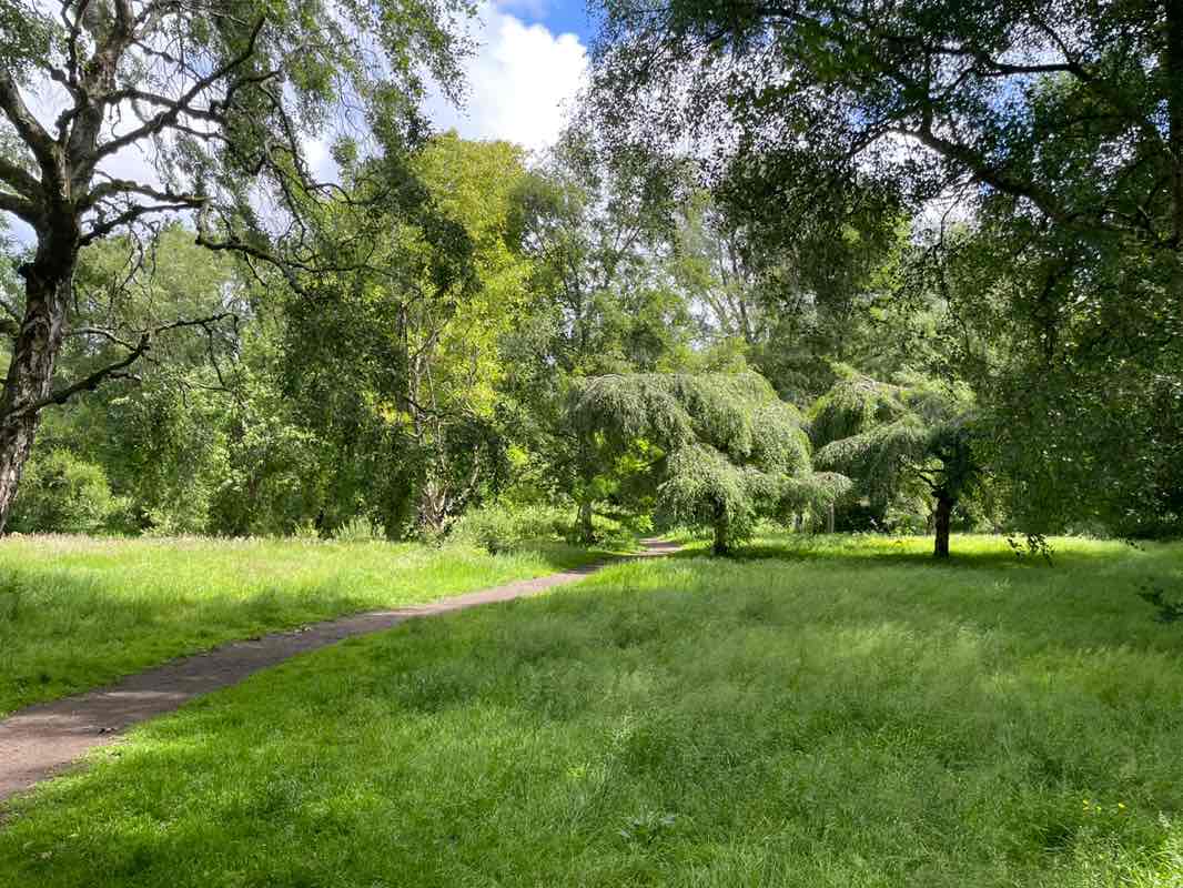 walking near me in Calderstones Park in summer